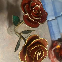 Gold Dipped roses 🌹 