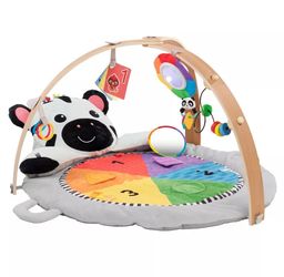 Baby Einstein tummy time mat