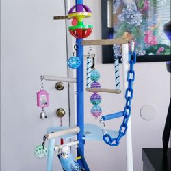 Parakeet Play Gym #9 (Dodgers Theme)