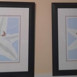 2 Framed Flower Pictures 
