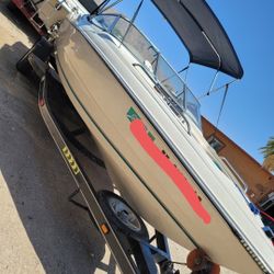 Bote Stingray 4.3 V6 Mercruiser Ready For The Lake 