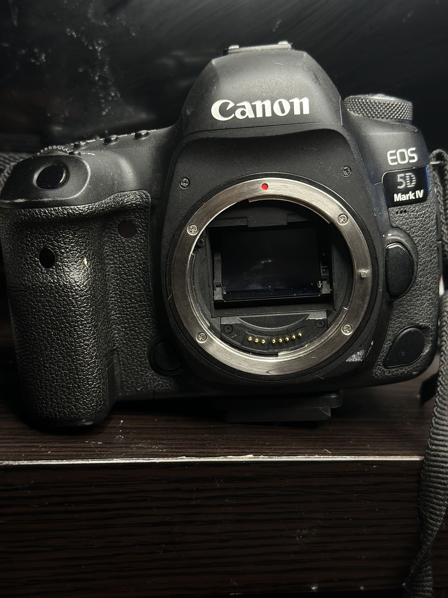 Canon 5D Mark IV w/ 24 105mm Lens AF