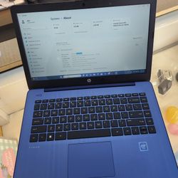 Steam Laptop
