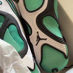 Jordan’s Size 11 