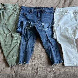 Women’s Pants