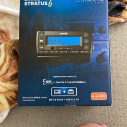 Car Radio Sirius