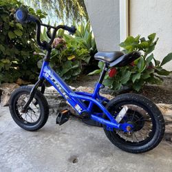 Bike Trek Kids