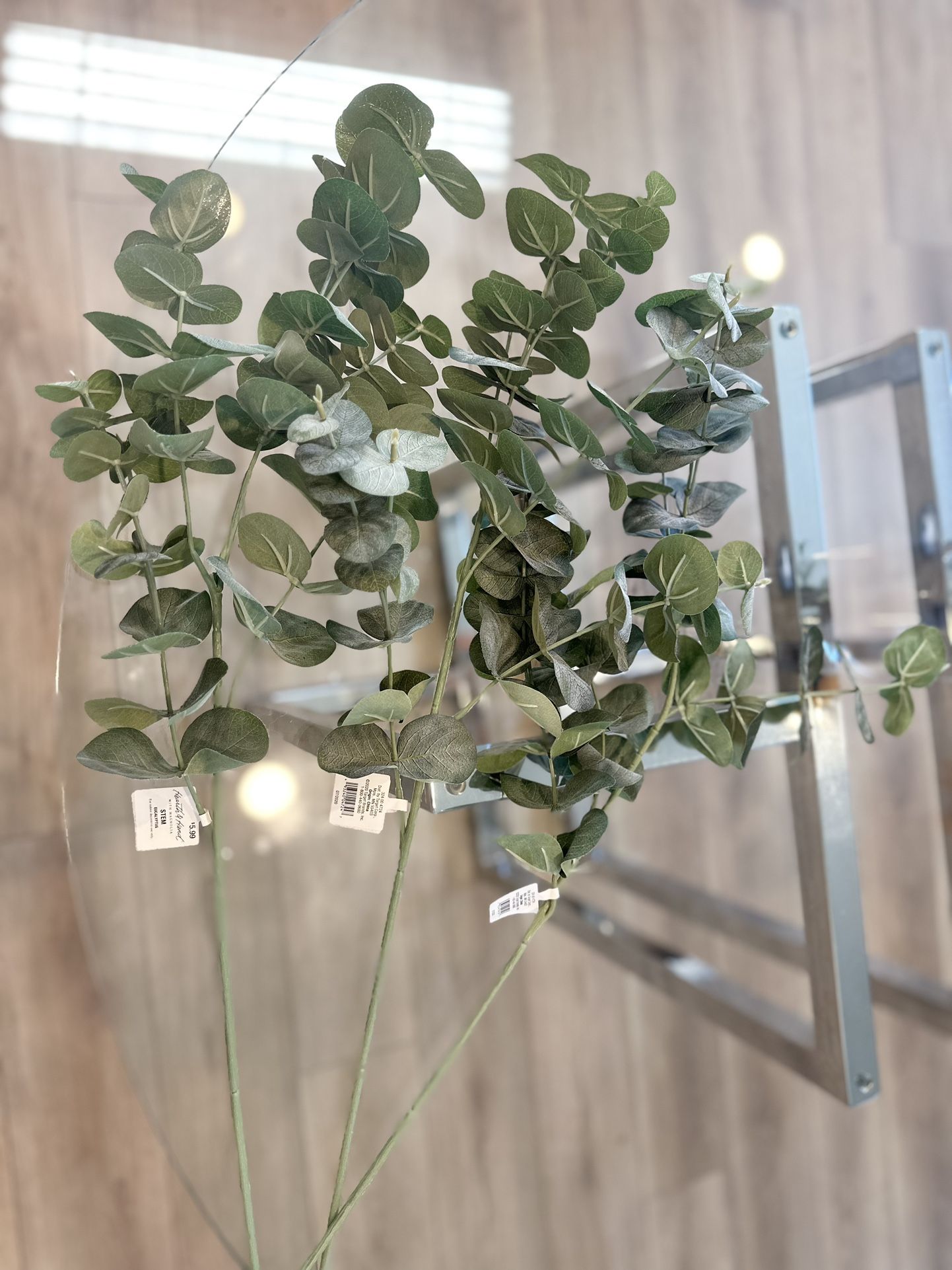 3  Eucalyptus Stems 