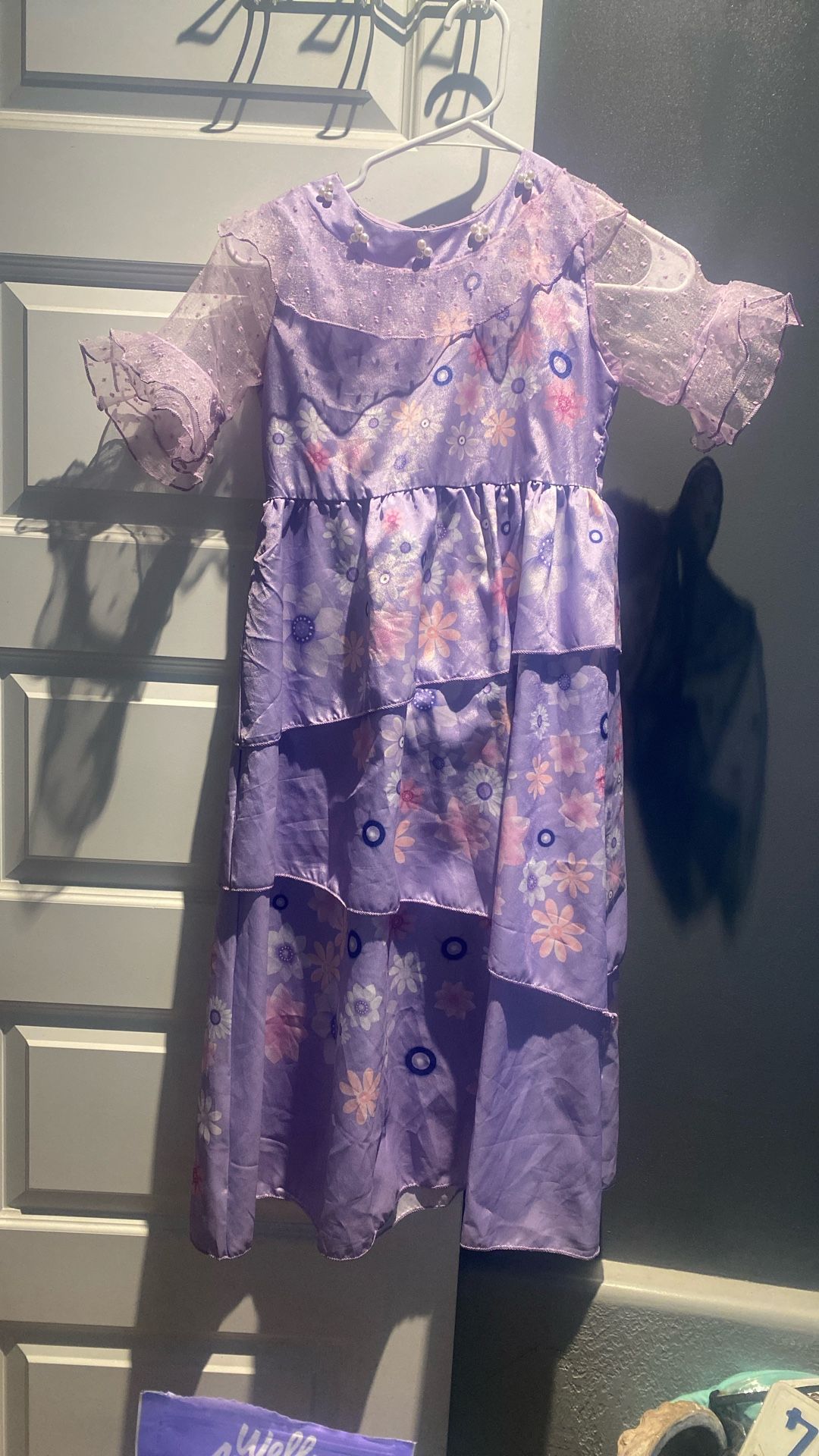 Encanto Isabela Dress Girls Costume Size 10