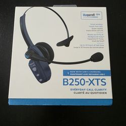 Blueparrott Wireless Headset