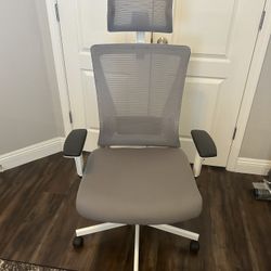 Ergonomic Office Chair 