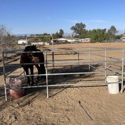Taking Clean Dirt In Perris