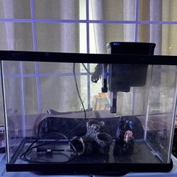20 Gallon Fish Tank Aquarium 