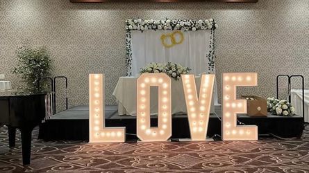 Sale ! LOVE Marquee Letter Lights Set