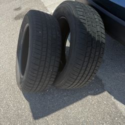 Used Michelin Defender Pair Tires
