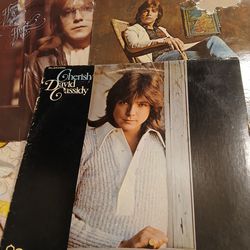 Three David Cassidy Vinyl Record Albums