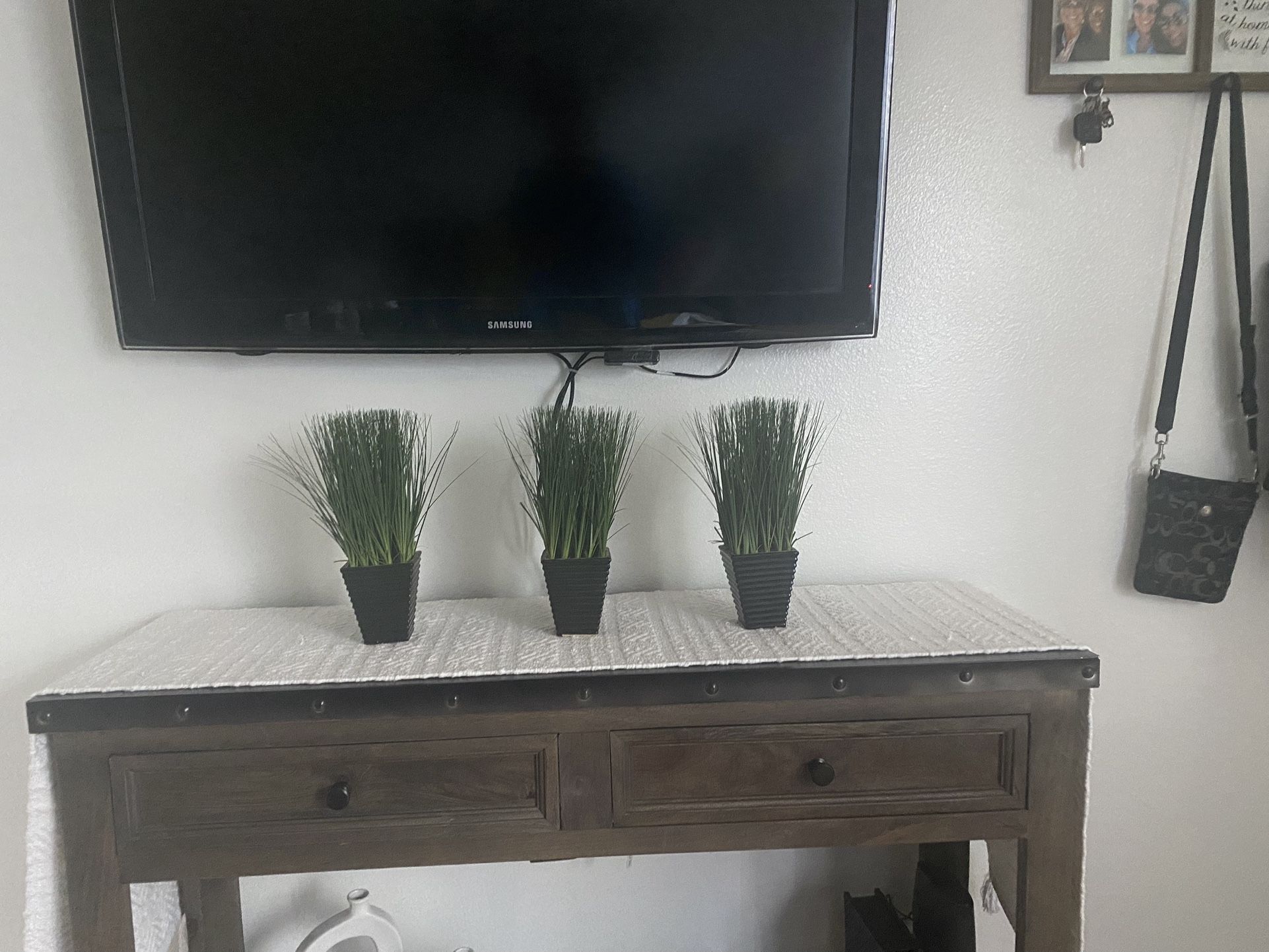Plant Decor