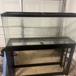 55 Gallon Fish Tank