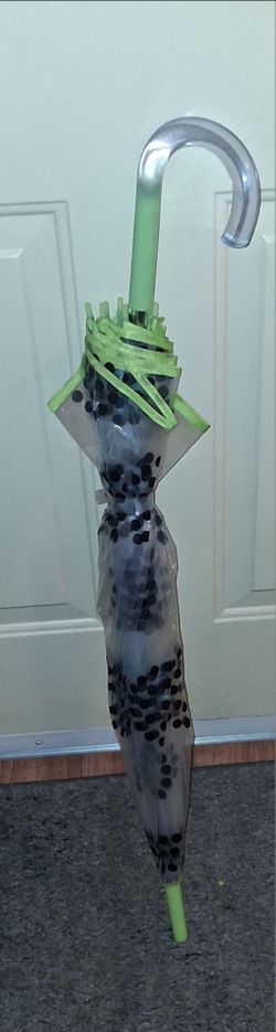 Umbrella