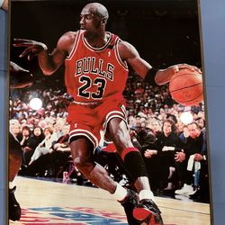 Michael Jordan Picture