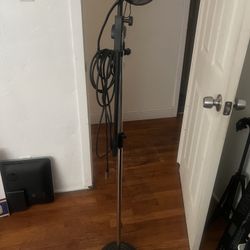 Microphone