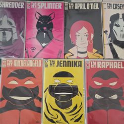 Teenage Mutant Ninja Turtles Spotlight series collection