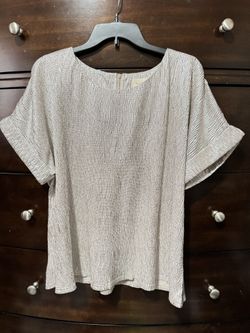 Women Silver Blouse 