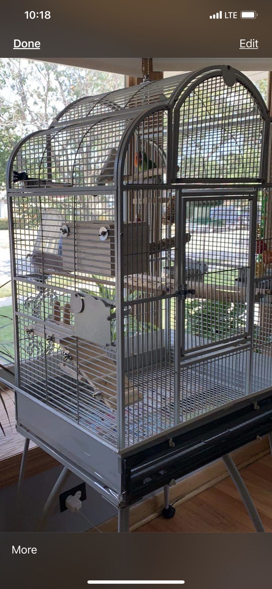 Large beautiful bird cage