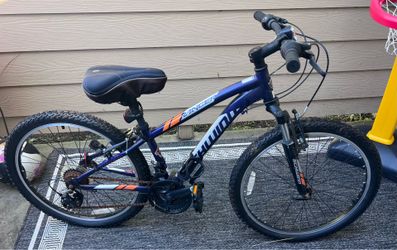 24 inch Kids Mountain Bike Schwinn Ranger 21speed S3400TGJ