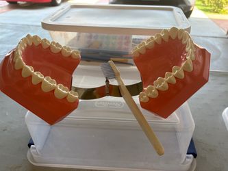 Deltal Hygiene Demostraion Model