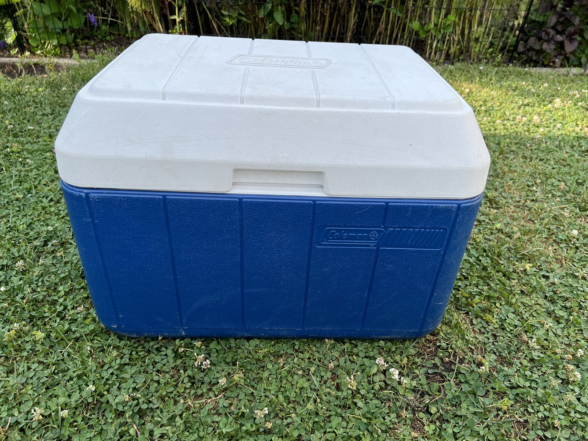 Coleman Cooler
