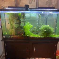 Aquarium Fish Tank Large 