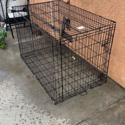 48 in Dog Kennel