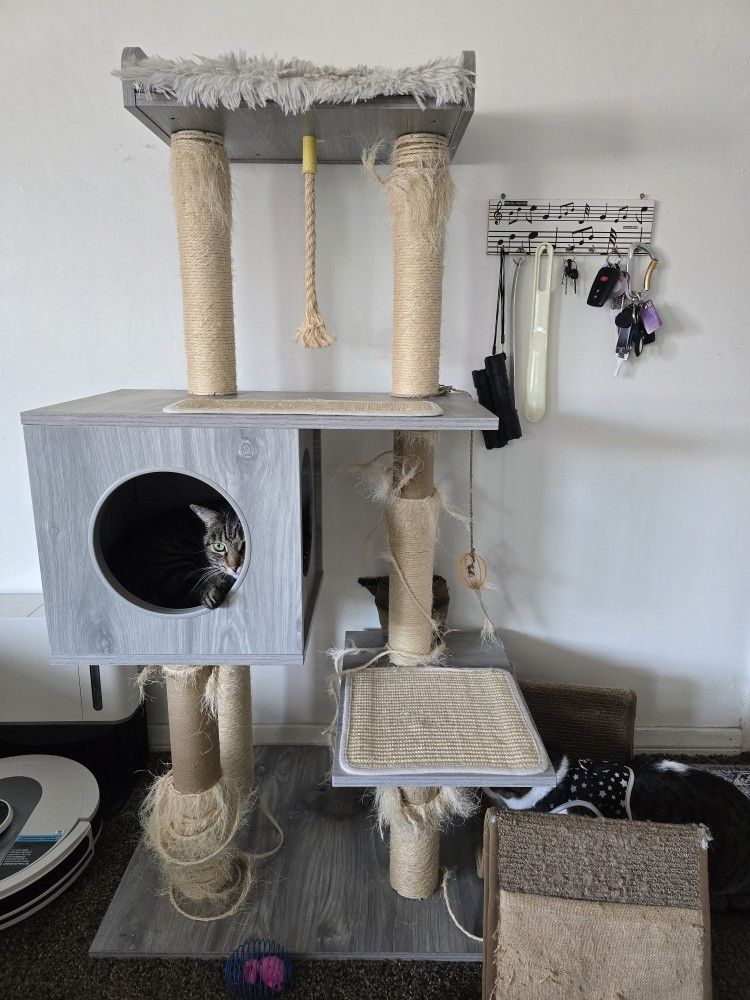 4FT 4 Feet Tall Cat Tree And Scratching Post