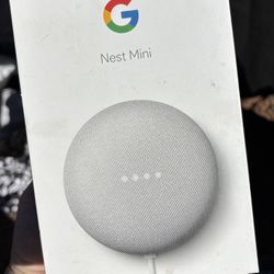 Google Nest Mini 