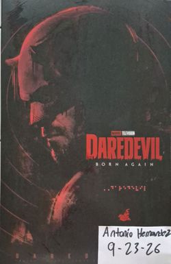 Hot toys daredevil born again