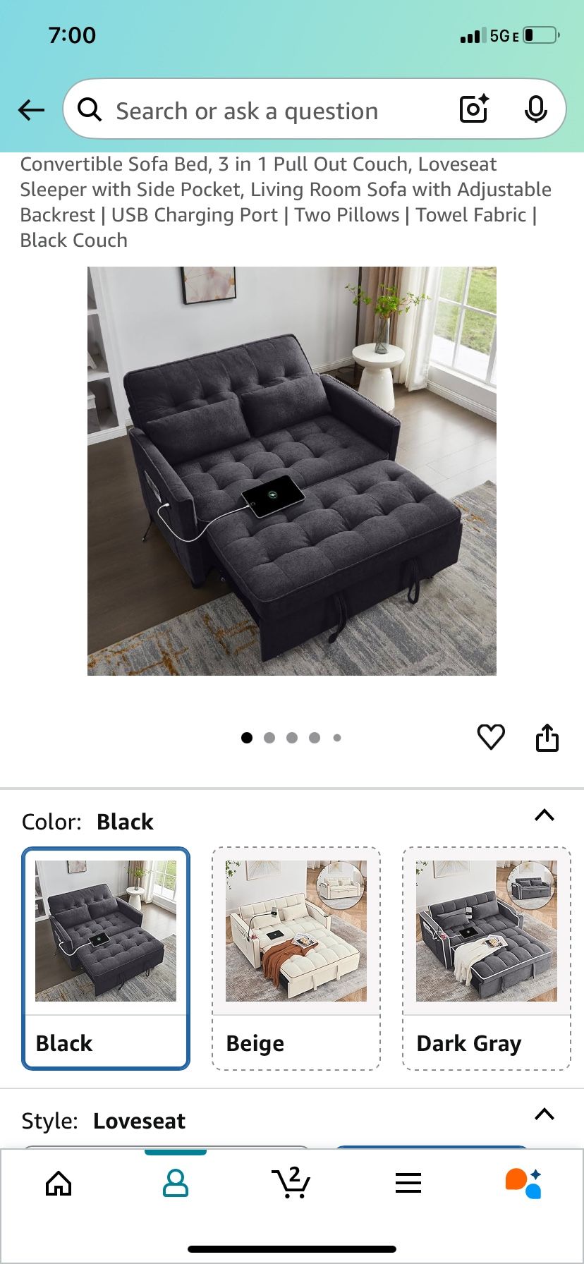 Loveseat Sofa bed