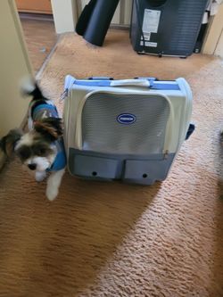 Small dog/cat backpack carrier