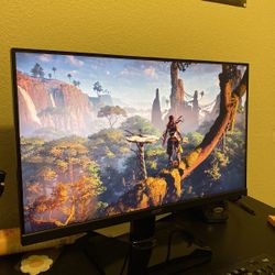 Acer Gaming Monitor