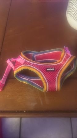 Dog harness xxs