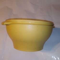 Vintage Tupperware Storage Bowl 