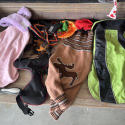 15-22lb Dog Outfits - Anxiety Vest, Harness, Travel Bowl