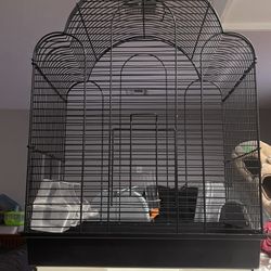 Bird Cage