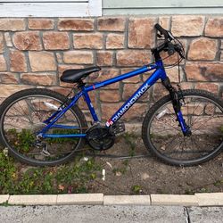 Diamondback Sorrento kids bike