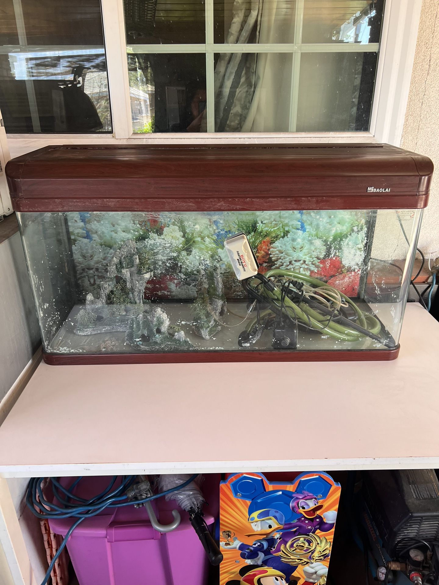 Huge Acrylic Fish Or Pet Or Reptile Tank And GRECH GW-303B aquarium  filter