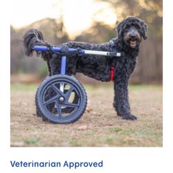 Walkin' Wheels LARGE Dog Wheelchair  