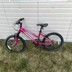 Girls Multi Speed Bike