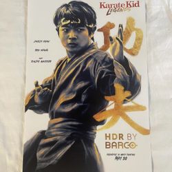 Karate Kid Legends Limited Edition Poster 11x14