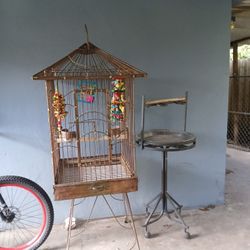 Large Bird Cage & Perch