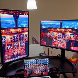 LG 27” 4K UHD Monitors + Standing Desk Assist + Display Adapter (Bundle)